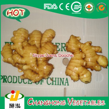China Fresh Ginger Lowest Price